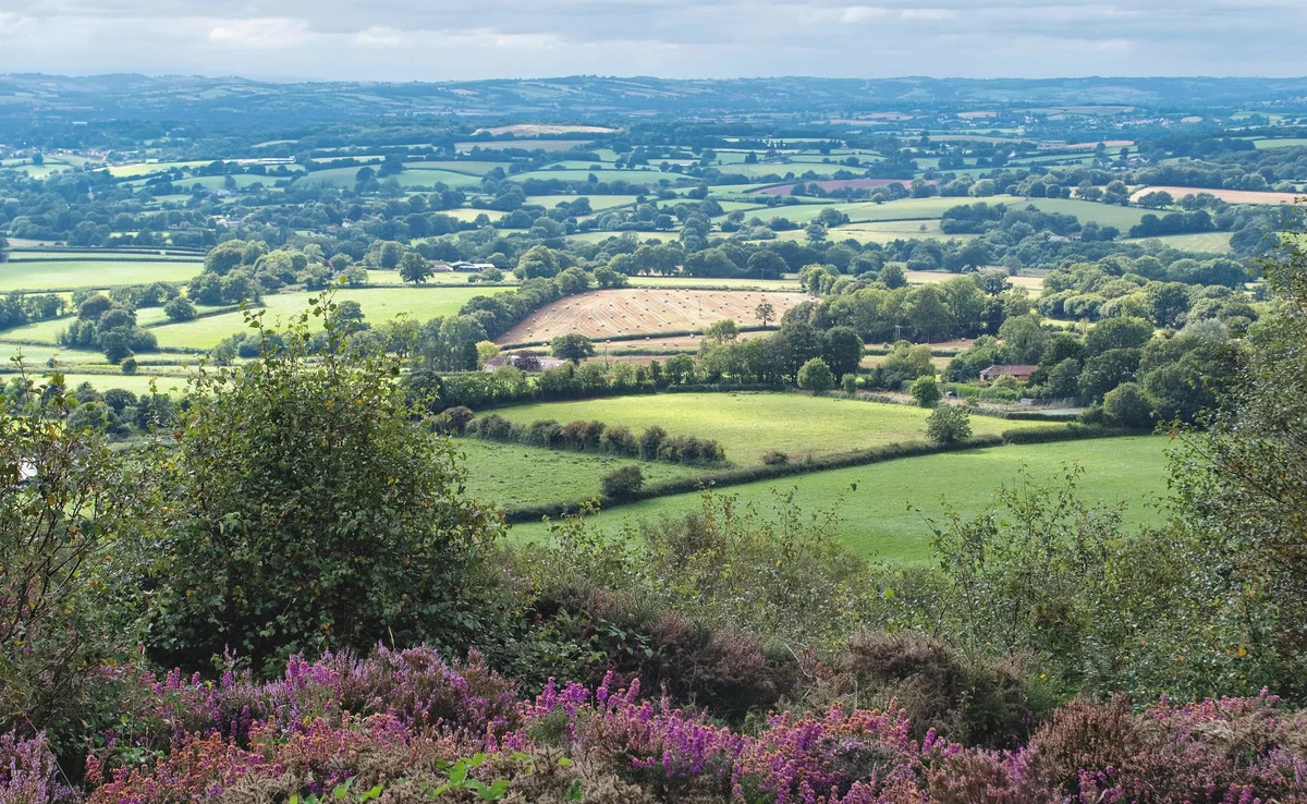 Blackdown Hills